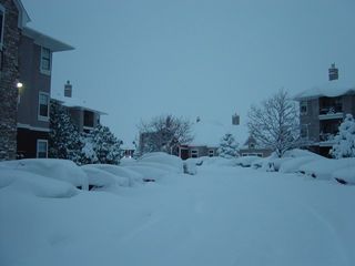 Christmas Blizzard 2006